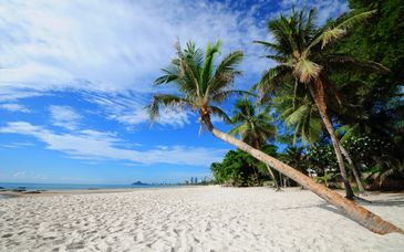 Anantara Hua Hin Resort 5*