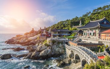 9-17 night tour: The best of South Korea