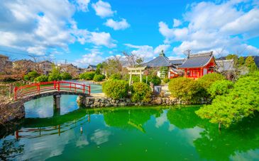 10-14 night tour: Must-see discoveries in the heart of Japan