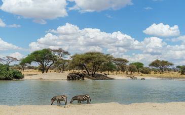 Duo: 4-6 safari & Toa Hotel & Spa Zanzibar 5*