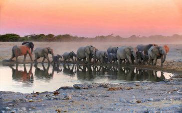 10 night tour: Self drive or guided Namibia
