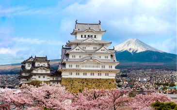 10-15 night tour: Ancient wonders & modern marvels of Japan