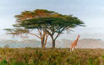 La Kruger Lifestyle Lodge 4*