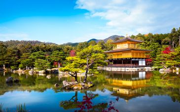 15 night tour: Journey across Japan