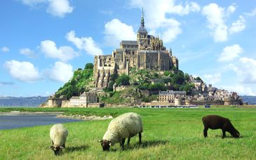 Duo: Paris Marriott Rive Gauche Hotel 4* & 2 night tour through Normandy