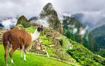 Private Tour of Peru - Lima, Paracas & Cusco