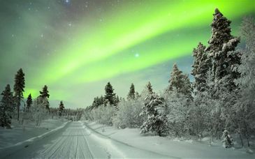 Soggiorno multiattività: Vacanza boreale nei pressi di Rovaniemi