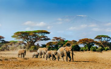 Safari nella natura con estensione all'Ocean Beach Resort & Spa
