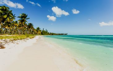 Grand Palladium Punta Cana Resort & Spa 5*