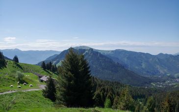 Hotel Milano Alpen Resort Meeting & Spa 4*