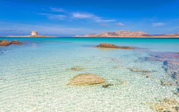 Cala Rosa Club Hotel 4*