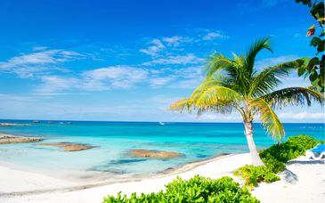 Combinato 4* Margaritaville Resort Times Square e Margaritaville Beach Resort Nassau 4*