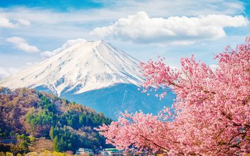 Tour privato: Nel cuore del Paese con possibile estensione a Hiroshima