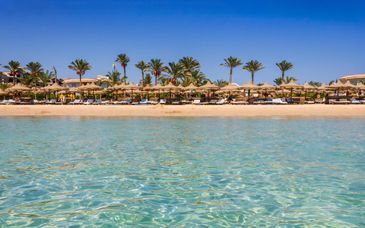 Double Tree By Hilton Sharks Bay Resort 4*