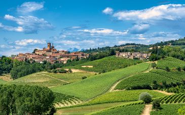 Ariotto Village 4*