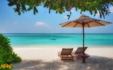 The Barefoot Eco Resort 4*