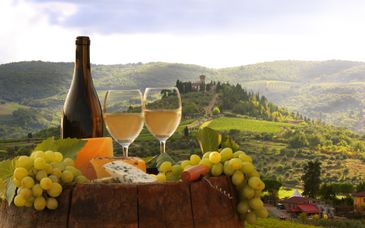 6 notti in libertà alla scoperta dei vitigni toscani e umbri
