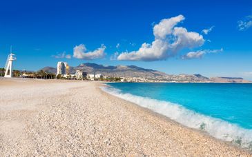 Kaktus Albir 4*