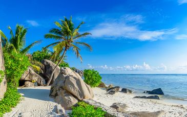 Bliss Hotel Praslin 4*