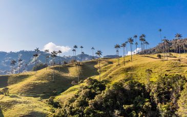 Circuito en libertad: Lo imprescindible de Colombia en 10 dias
