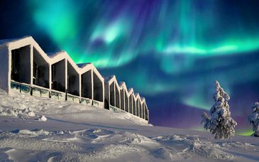 Star Arctic Hotel 4*