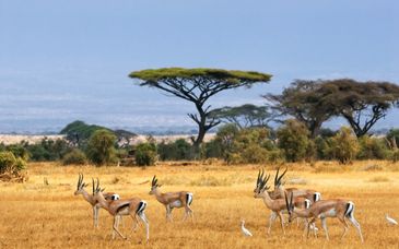 Tour privato: Alla scoperta del Paese tra natura e città