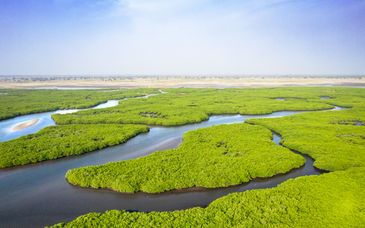 Tour privato o di gruppo: Ecosolidarietà in un Paese autentico