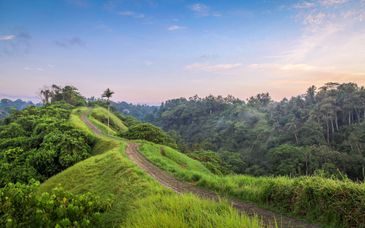 Hotel 5*: Asvara Villa Ubud by Ini Vie Hospitality, Anema Wellness & Resort Gili Lombok et Bali Beach Hotel Sanur