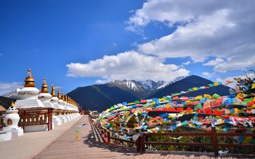 Tour privato: Cultura e natura nella Terra della Pace