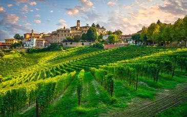 Wine Tour dalla Riviera sino alle Langhe
