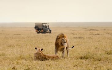 Safari di 6 notti in riserva privata
