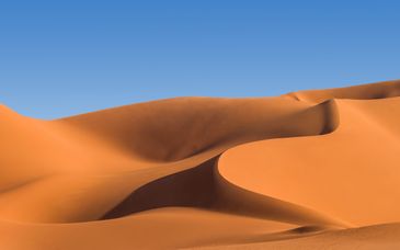 Tour alla scoperta del Paese con possibile estensione presso lo Hyatt Regency Dubai 5*