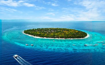 Tour privato: L'arcipelago delle Visayas tra natura e benessere
