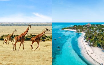 SBH Monica Zanzibar 5* - Adults Only e safari in paesaggi unici