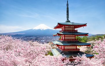 Tour in libertà: Monte Fuji e i tesori nipponici
