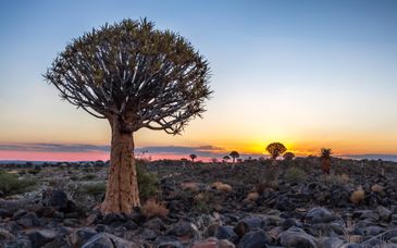 Tour di gruppo: Avventura dal deserto del Namib alle cascate Vittoria