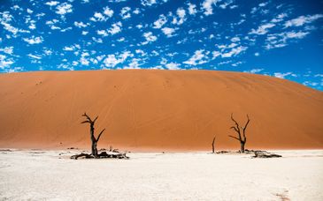 Tour privato: Un viaggio attraverso deserti senza tempo