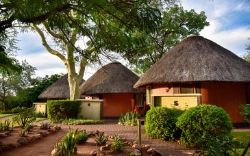 Soggiorno multiattività: Mohlabetsi Safari Lodge e Premier Hotel O.R. Tambo 4*