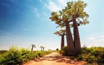 Tour di gruppo: Alla scoperta di paesaggi incredibili e fauna locale