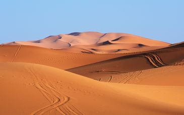 Tour privato: Esperienza tra gli affascinanti paesaggi del deserto