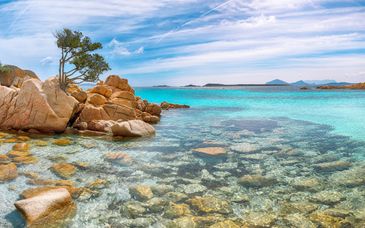Tour in auto: Viaggio dal nord al sud della Sardegna