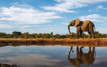 Autotour: Scoperta dei Big 5 con possibile estensione a Mauritius