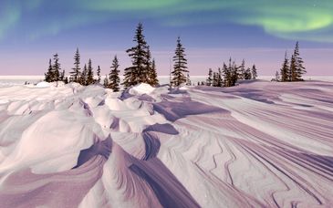 Soggiorno multiattività: Aurora boreale e incontro con le renne