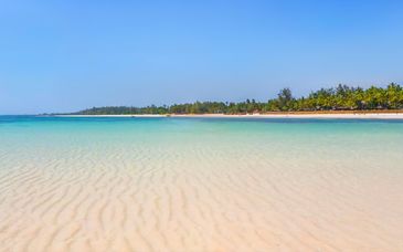 Neptune Village Beach Resort 4* con possibile safari