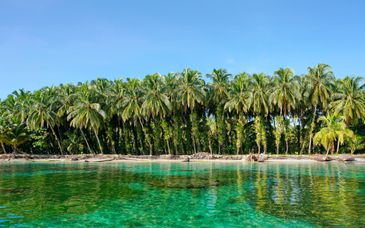 Tour di gruppo: Giungla, spiagge e città di Panamá