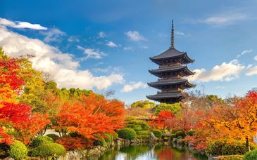 Golden Tulip Shanghai Rainbow 4* e tour: Alla scoperta del Paese del Sol Levante