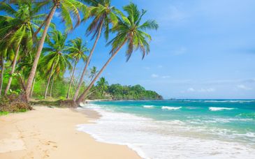 Circuito en libertad: Dúo en las Filipinas de 7 a 12 noches