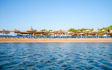 Ivy Cyrene Sharm Resort 4* - Adults Friendly