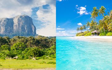 Tour privato: Viaggio a Ceylon ed estensione al mare alle Maldive