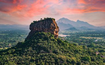 De las verdes colinas a la playa dorada, con posibilidad de preextensión en el Marriott Hotel Al Jaddaf Dubai 5*